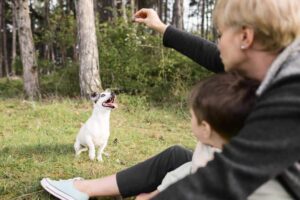 Børn og hundetræning